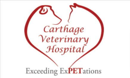 Animal Hospital Carthage TX Carthage Veterinary Hospital.f1cb27a519bdb5b6ed34049a5b86e317
